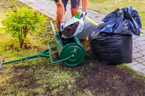 Piaskowanie trawnika: Zrób to sam! Klucz do zdrowej i gęstej murawy