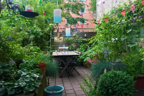 En lummig trädgård med ett bord och stolar. En kruka med hallon syns bland frodig grönska. Färggranna lyktor och girlanger skapar en mysig atmosfär.