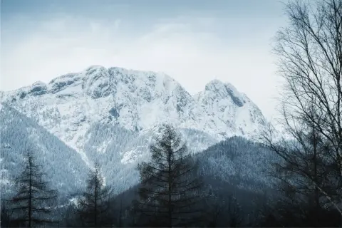 Śnieżne szczyty gór zimą, idealne na pierwsze górskie wędrówki. Drzewa w pierwszym planie dodają głębi.