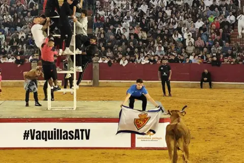 Jóvenes en una estructura metálica, un chico con una bandera y una vaquilla en la arena. Celebración de las vaquillas fiestas del pilar.
