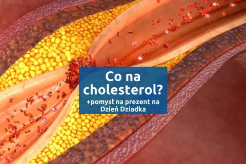 Przekrój naczynia krwionośnego z cholesterolem. Szukasz najmniej szkodliwego leku na cholesterol? Sprawdź pomysł na prezent na Dzień Dziadka.