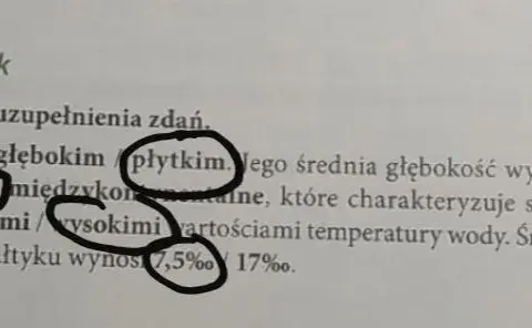 Czy Bałtyk jest płytki? Zaskakujące fakty o głębokości naszego morza