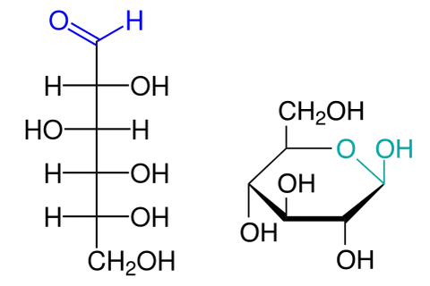 Chemische Strukturformeln: Formaldehyd (links) und Wasserstoffperoxid (rechts), relevant für den Benedict-Test.