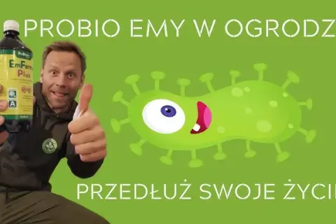 Jak stosować EMy w ogrodzie: 7 skutecznych metod i wskazówek