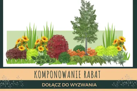Inspiracja do stworzenia pięknych rabat. Kompozycje roślinne z drzewem, krzewami i kwiatami.