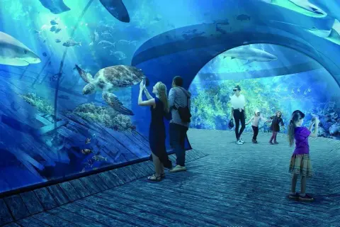 Oceanarium Kraków: Dlaczego nie ma dużego oceanarium w mieście?