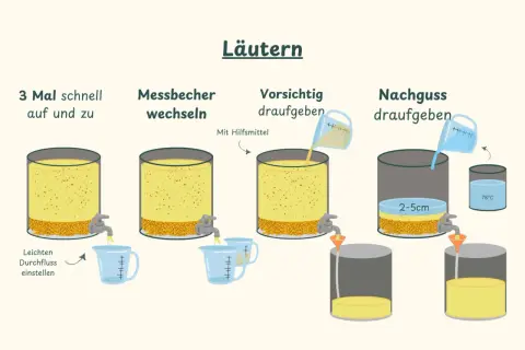 Illustration zeigt Schritte des Läuterns: Maische, Malz und mehr werden in Behältern verarbeitet. Flüssigkeit wird abgelassen und mit Hilfsmittel aufgegossen.