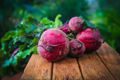 Fresh beets with leafy greens on a wooden surface. Wondering if dogs can eat beets? These vibrant roots are a healthy treat for pups!