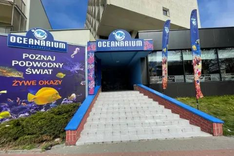 Ile kosztuje bilet do oceanarium w Kołobrzegu? Sprawdź ceny teraz
