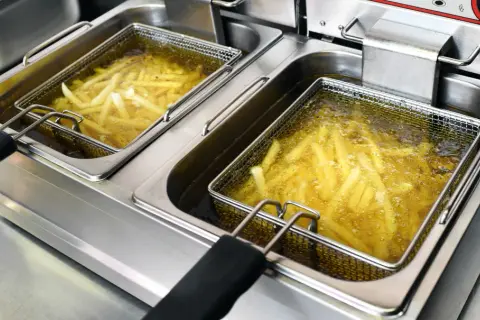 Jak zrobić perfekcyjne frytki w frytkownicy? Sekrety chrupkości