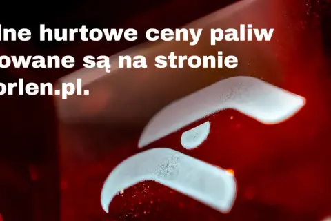 Aktualne hurtowe ceny paliw Lotos publikowane są na stronie www.orlen.pl.