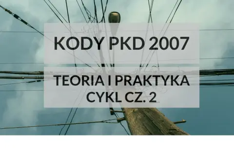 Ile kodów PKD można wpisać do KRS? Poznaj ważne ograniczenia