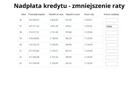 Nadpłata kredytu hipotecznego: kapitał czy odsetki? Jak uniknąć błędów i oszczędzić