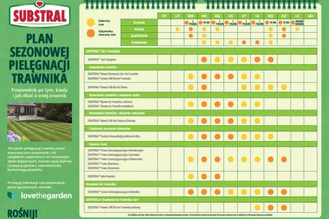 Trawnik marzeń: Kiedy i czym nawozić trawę? Kalendarz nawożenia