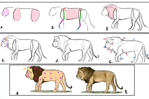 Secuencia de pasos para un dibujo de león, desde bocetos básicos hasta un león detallado.
