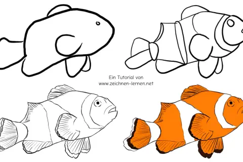 Tutorial de **peces para dibujar**: un pez payaso en cuatro etapas, desde un boceto simple hasta un dibujo a color.