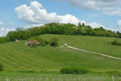 Zielone wzgórza porośnięte winnicami, dom z czerwonym dachem i mały domek gospodarczy. Krajobraz Cotes de Bergerac w słoneczny dzień.