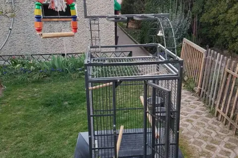 Ile kosztuje klatka dla papugi? Ceny, rodzaje i porady zakupowe