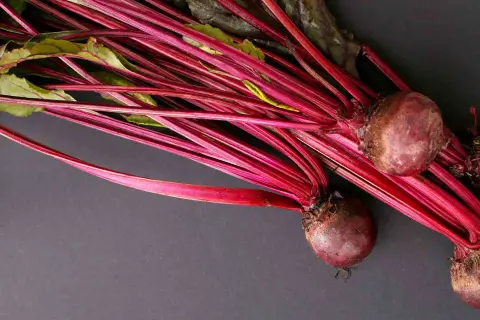 Rote Bete mit grünen Blättern und roten Stielen. Eine Frage, die sich viele Hundehalter stellen: Darf ein Hund rote Beete essen? Ja, in Maßen.