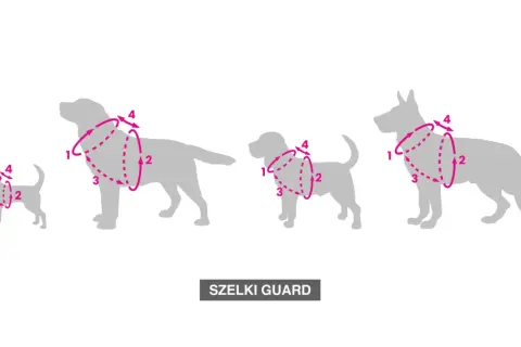 Szelki dla szczeniaka: Bezstresowe zakładanie krok po kroku