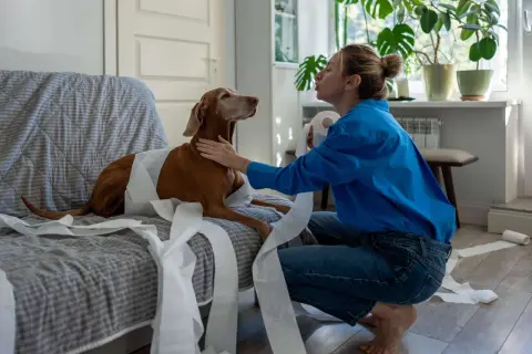 Frau versucht, einen überdrehten Hund zu beruhigen, der sich in Klopapier eingewickelt hat.