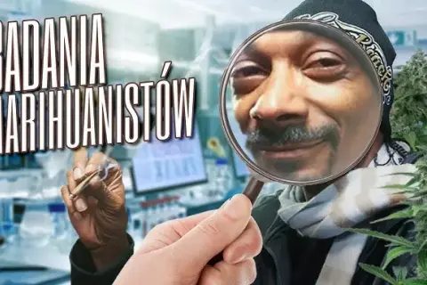 Marihuanę a poco to komu - czy naprawdę jest nam potrzebna?