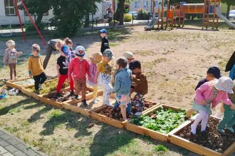 Leśna ścieżka sensoryczna: jak wspiera rozwój dzieci w naturze