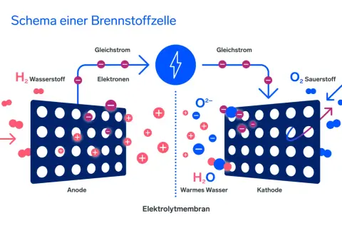 Schema einer Brennstoffzelle: Wasserstoff wird an der Anode in Elektronen und Protonen aufgespalten. Die Nachteile der Brennstoffzelle sind u.a. die Kosten.