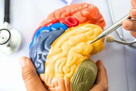 Rehabilitacja neurologiczna: Jak mózg leczy się sam?