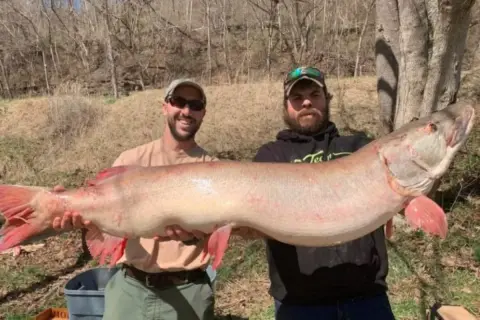 Zwei Angler halten stolz einen riesigen musky fisch. Der Fisch ist lang und hat rote Flossen.