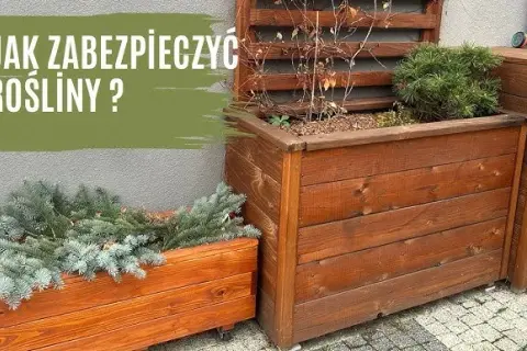 Jak zrobić termo donice, które ochronią rośliny przed zimnem