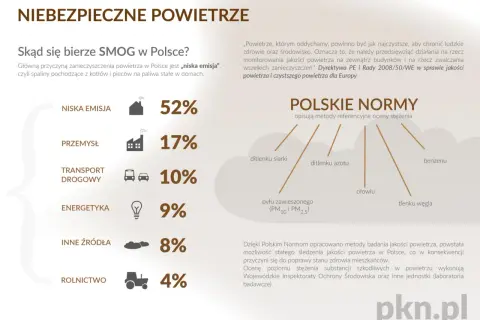 Wykres pokazuje źródła smogu w Polsce, gdzie niska emisja (spaliny z domów) to 52%. Wymieniono też pył zawieszony (PM10 i PM2.5) jako jeden z problemów.