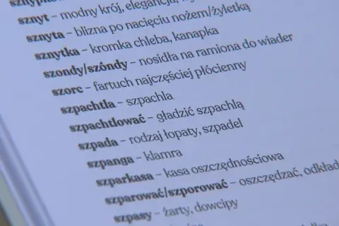 Słownik gwary bydgoskiej: odkryj unikalne słowa. Znasz je?