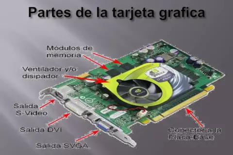 Tarjeta gráfica con ventilador, módulos de memoria, salidas S-Video, DVI, SVGA y conector a la placa base.