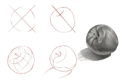 Ilustración de dibujos paso a paso de una manzana, desde bocetos iniciales hasta un dibujo sombreado realista.