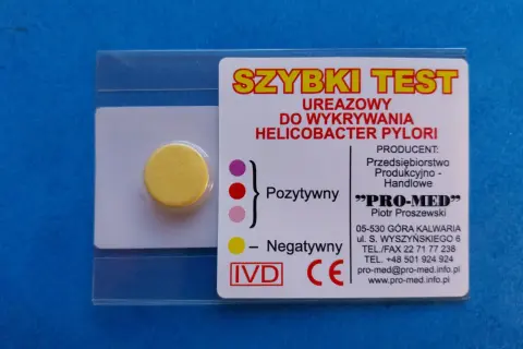 Szybki test ureazowy do wykrywania Helicobacter pylori. Wynik pozytywny widoczny po zmianie koloru.