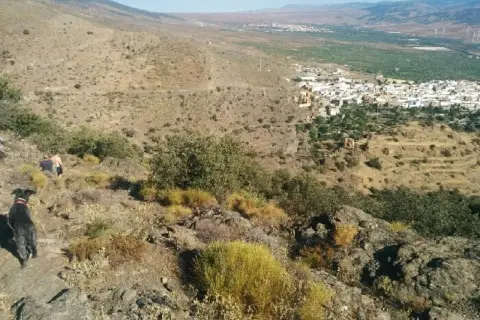 Un perro negro y una persona disfrutan de la vista de la jirola abrucena, un pueblo blanco en un valle árido.