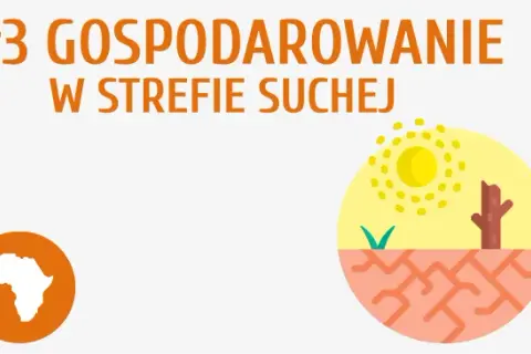 Jak rozwiązać problem głodu w Afryce? Przyczyny i skuteczne strategie