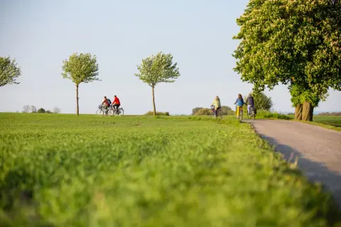 Cykeltur genom Skånes gröna landskap, perfekt för en vistelse på ett vandrarhem Skåne.