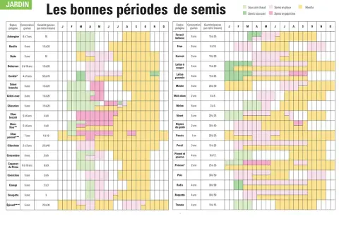 Calendrier des semis de céréales et légumes : Semis sous abri, en place, en pépinière et récolte pour de nombreuses espèces potagères.