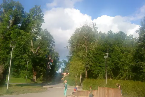 Barn leker i fruktparken Liljeholmen bland gröna träd och en blå himmel med moln.