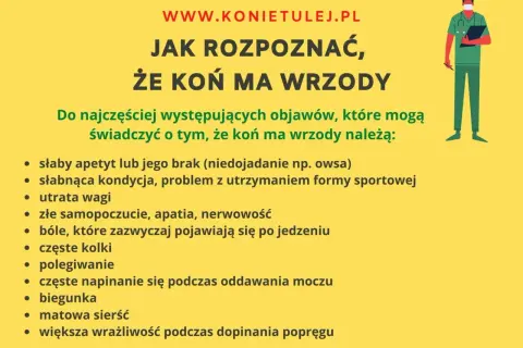 Jak rozpoznać, że koń ma wrzody? Objawy to m.in. brak apetytu, utrata wagi, bóle po jedzeniu, kolki, biegunka i matowa sierść.