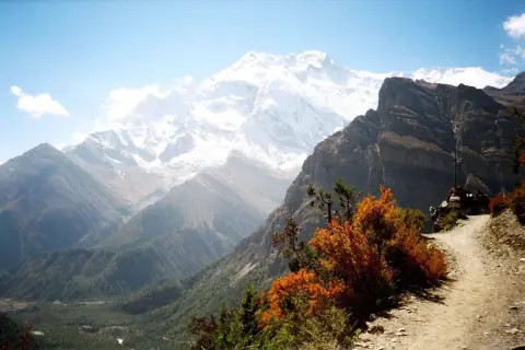 Herbstliche Farben im Vordergrund, dahinter majestätische schneebedeckte Gipfel. Ein Pfad schlängelt sich durch die Landschaft. Nepal im November.