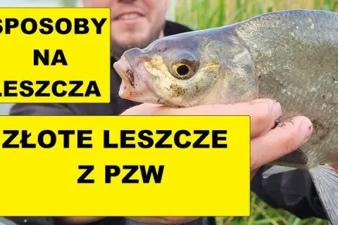 Najlepsze przynęty na leszcza, które zwiększą Twoje szanse na sukces