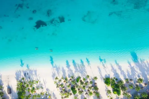 Rajska plaża z palmami i turkusową wodą. Zastanawiasz się, ile trwa lot na Zanzibar? To podróż marzeń!