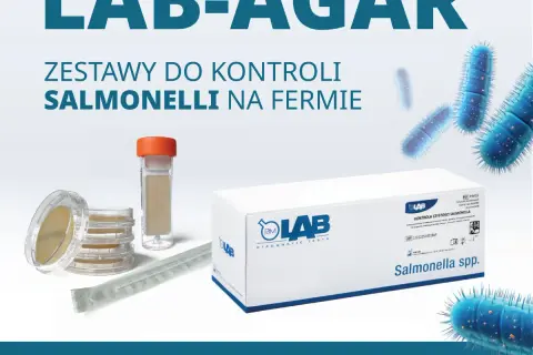 Jak skutecznie zapobiec salmonellozie – praktyczne porady i środki ostrożności