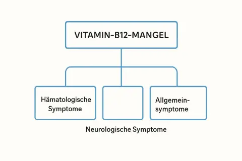 Übersicht über Symptome bei Vitamin-B12-Mangel: Hämatologische, neurologische und allgemeine Symptome.