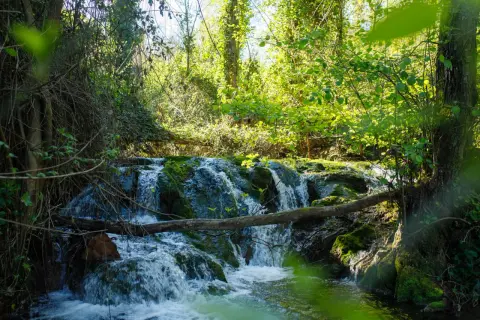 Cascada en la ruta de los Baños de Popea, con vegetación exuberante y agua cristalina cayendo sobre rocas cubiertas de musgo.