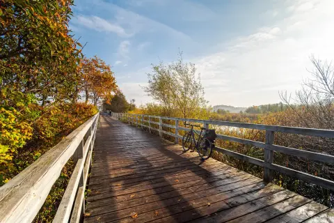 Drewniany mostek na trasie Euro Velo, z rowerem czekającym na podróż przez jesienne krajobrazy.