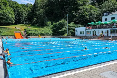 Ein sonniger Tag im Freibad Neuenhof. Menschen schwimmen in den Bahnen des großen Pools, während im Hintergrund grüne Bäume und ein Gebäude mit Sonnenschirmen zu sehen sind.